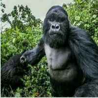 F943a6072cb87e40d33c1599f9fda3670f11f93f