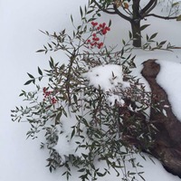 54a399d2906958e9ba5a8fd92587c17a424a834f