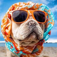 8539f1b6d859409cc0c19bde545aa92bdc9c6322