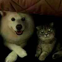 B3b96a8f1fbb23c45f2f1af59890eac6c28bed8b