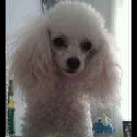 6afbdaf959b3040f882f240db0e7ee5f6f54b7c8