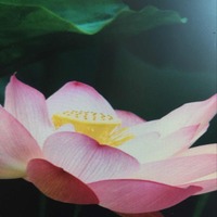 Bbb9d03d92993dc21b95c3a5aeb87deabffc11c4