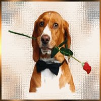 6e4e31a88877e2067b1310f843ca1b41603ff215