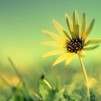 8eec1bf4e30d39077db9bd8b6a77a0ea3b2eb36f