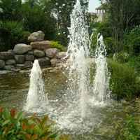 C29b5b676dc718071b5cfb4cf7f69ce3f4a0edce