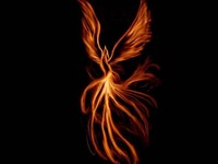 Cf7c732f8e942c121da3866e2911efd85bc2b139