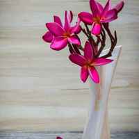 Df78d216b839274d0be6802e1f68b7daaa198673