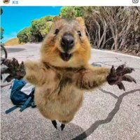 063c0c68f28eacaa0a4fe20e7d3d3078e1a629d9