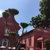 24bb29668c3ffeaa52c133375f3f8b76a78bf41e