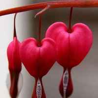 1068c667128d55bb8ef10929ce6e7b62e9128f38