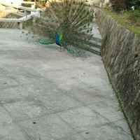 Dcbb29ce1f2172c2ee3c6318439810152eb4fae3