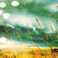 32c7c7f36a67e23429663c72d5c12e1578dda62b