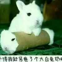 52228a0658fc12e43731d97aa95046a5c843e95a