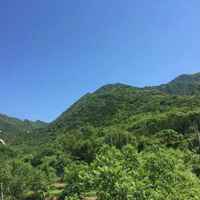 417372f8cbabbd6afb2b7ef8a331084c14a34593