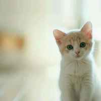 2995cec916f095f4686987778b81353df46a9b7d