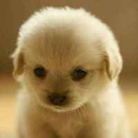 831b8b7d1b38b24f08e921aaa4cbf9e0ebb3bed0