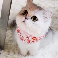 3d83afffb7e50eaf5fe78da94f0bcbd779dee60c