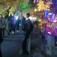 C7b506746fc7f21dc6d393b1984d52dda7bc6433