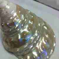 Bc41f45d2d3a3c5e3d247a163c84f54eb46065fe