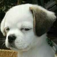 Fa3b765fabd7bc95fbec658e9837ecaaf307acd6