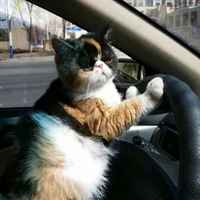 8393484d5f5e56ebb937352b643971fc3e758f07