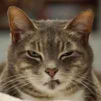 2e8fdbb6a9e392bc240706dc111146613346a89b