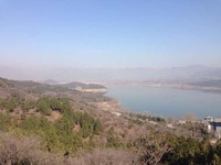 Cd107c7f356a145bc4d66877237aa3e63038db31