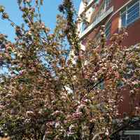 7bcd8862ce11d17962dcb8a37a9ccfabb2d7e532