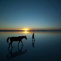 6ca60cd970ea9a4f39af4ceb3bf919452153874e