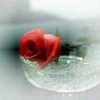 B7295b1a0ea409c873db21d501a5bcfce8c8e316