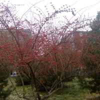 1119832d2eccc2e74396b78a235e37d4145a30f7