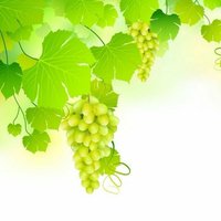 Ad1abae51dab6f42aba494dda89b767f5b8368ee