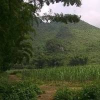 Ceb30d4a2dc14274c20a3191461a2b9383fe587e