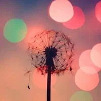 A7757d2b1416cecd78edfab86a010d79819556f8