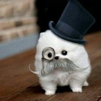 8db5d65a6a265b681f1de9f405a470810720438f