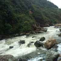 D115191c73c1bbf79e7d35da321eec4ab2ae3d70