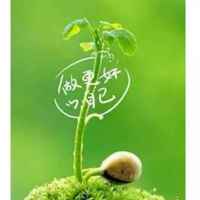 8f0025669f4387adc4111a47faf6d2a4e946aba8