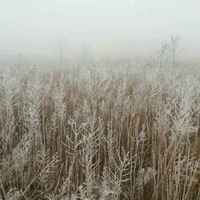 7813d9cafa2b0e021e3caa1ba785e612ca52b050