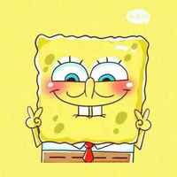 953d9da8f1b4ba3a9cf45a5e897f2fbec8078c9d