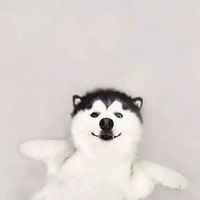 A1a2c7ce6fd4f98c1111945a76ba431ad67a6c03