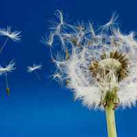 2c61374b613853dbee5b8bf9681c4d7291413ec2