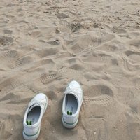 1747d7691bfff1ae4c25faea058aea1732545c7a