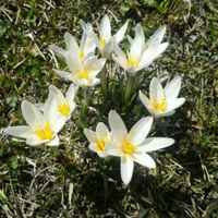 4d1bef570b50df16b2e7ee418d2d35cdd851fbcc