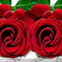 Dcff417b3897576a4425fc52c04a8087283fced5