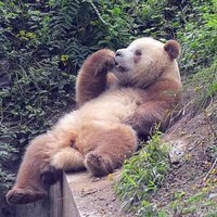 Cdd299b8b9bbc2d00b29bd6aa49076d8585cbd2e