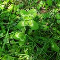 1f0cf97f484bc38b60c07cb646b0f22b75f0eac7