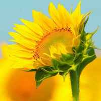 A83104603b8b5c127fc0f1cf79c2711cb80df68d