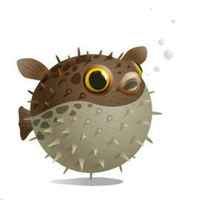 F222b0e0e887ebd33147989620fa5732b6d2a2c1