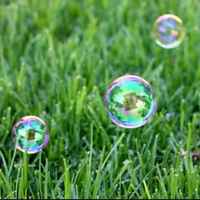 50f81f163f75fe3794524e8755fce9b684059370