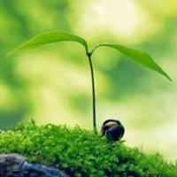 5f3cb2bedbec03c23a8b909e98ba05a2bfffd5c4